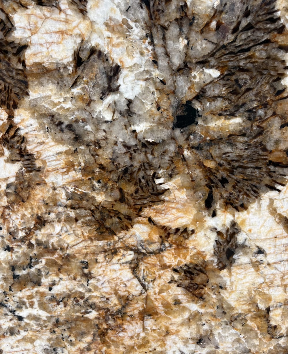 Blanc De Blanc granite detail, feathered dark mineral clusters across cream and amber