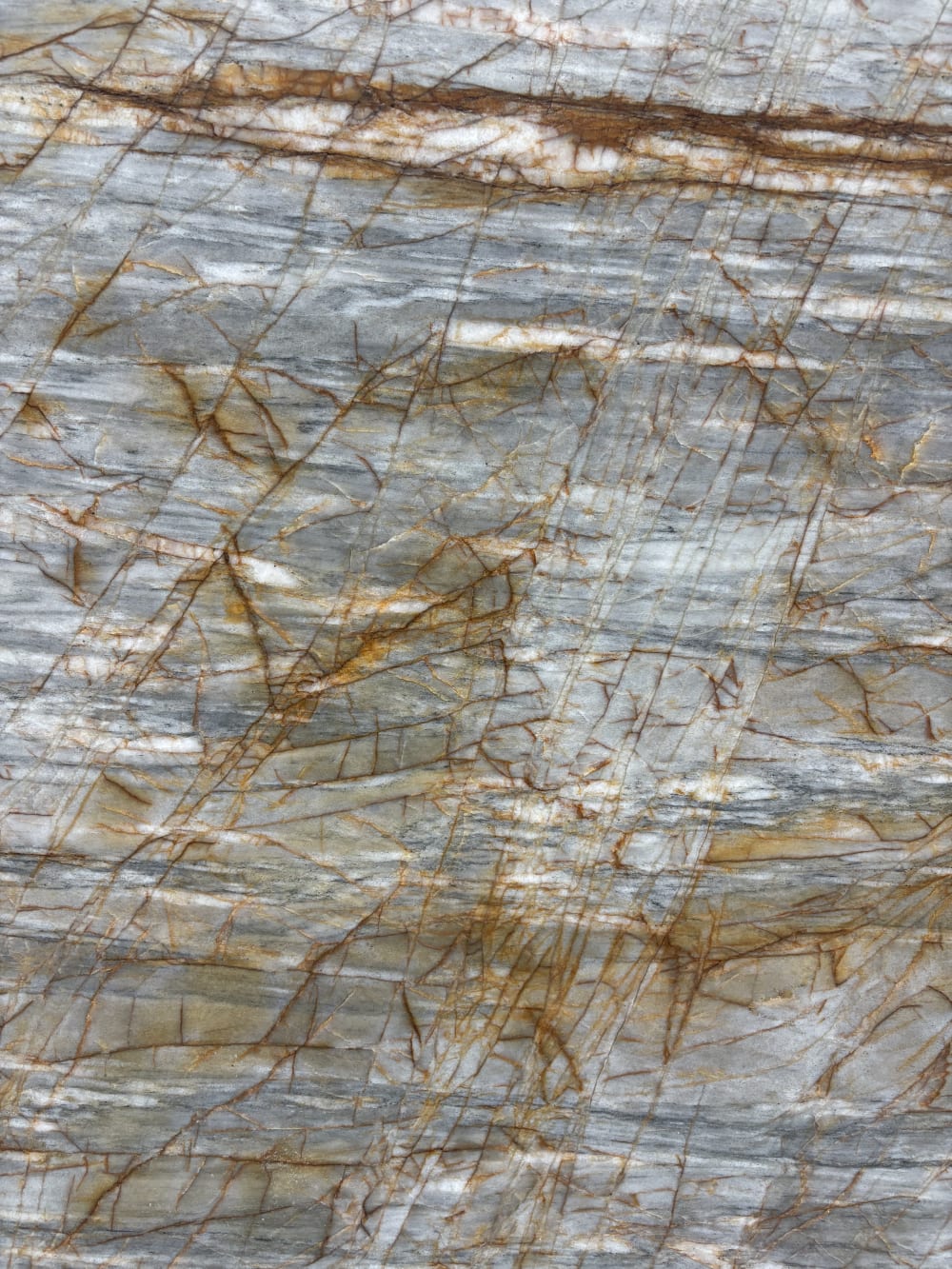 Leondro quartzite detail, dense network of rust and amber veining over cool grey