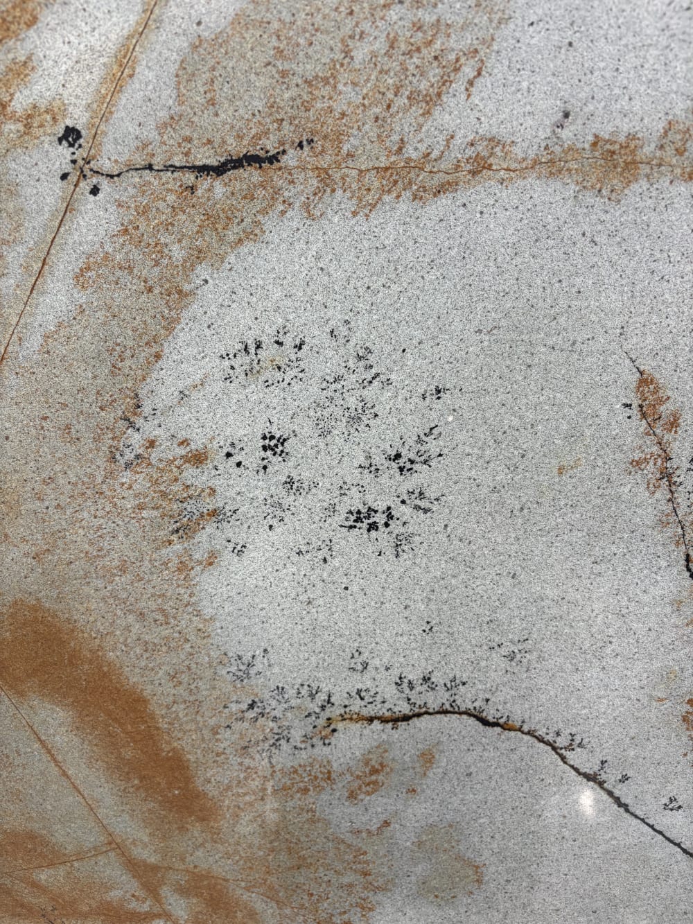 Deep Blue quartzite detail, an ochre band beside a speckled pale field