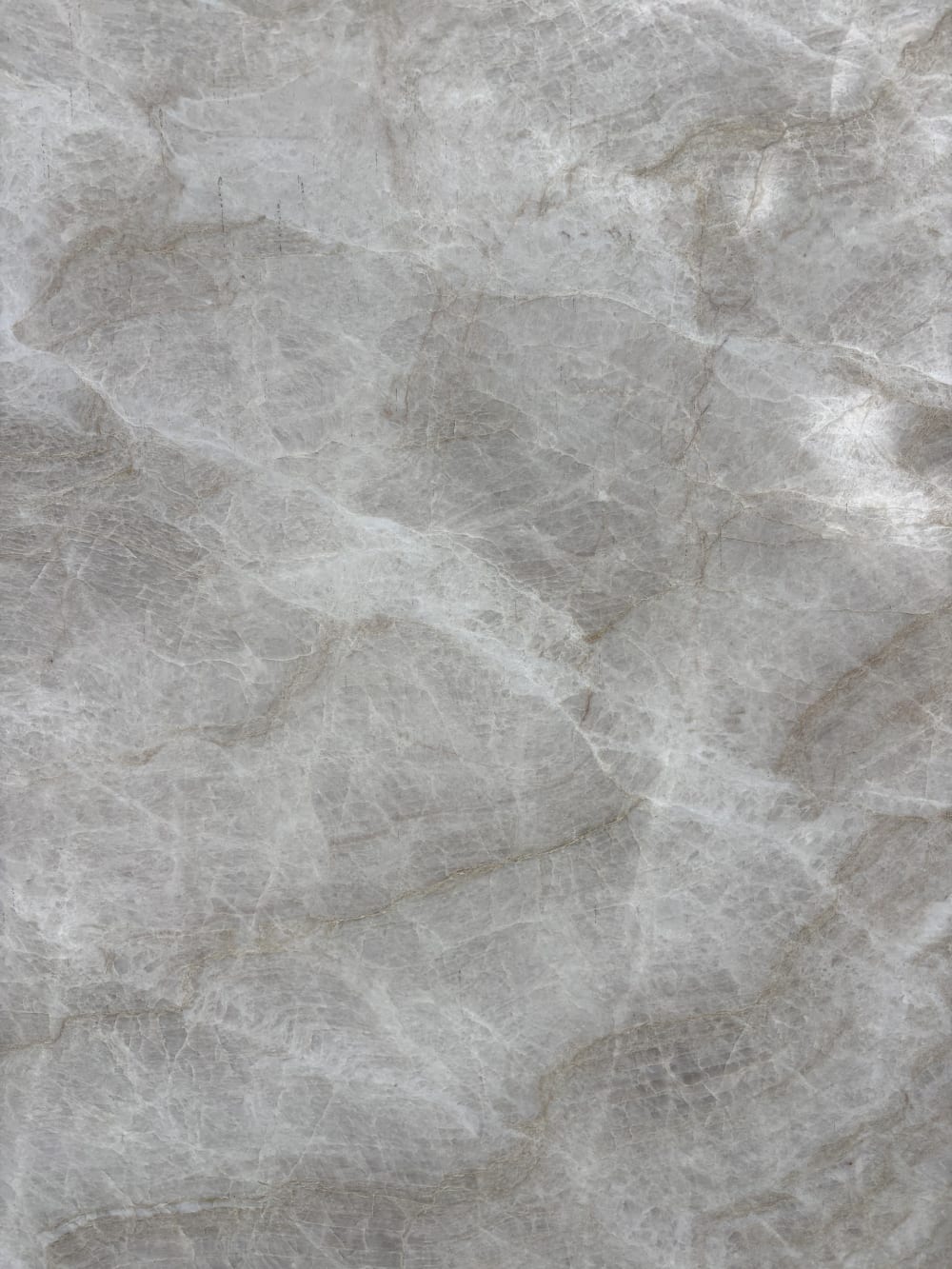 Taj Mahal quartzite block 23219 detail, soft banded taupe-grey movement under a honed finish