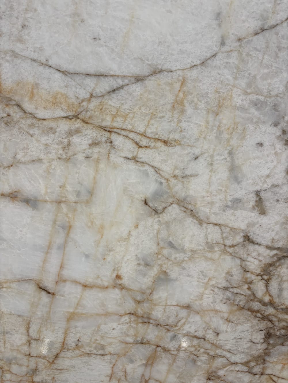 Gold Cristallo quartzite detail, golden veining fracturing across a cream-white ground