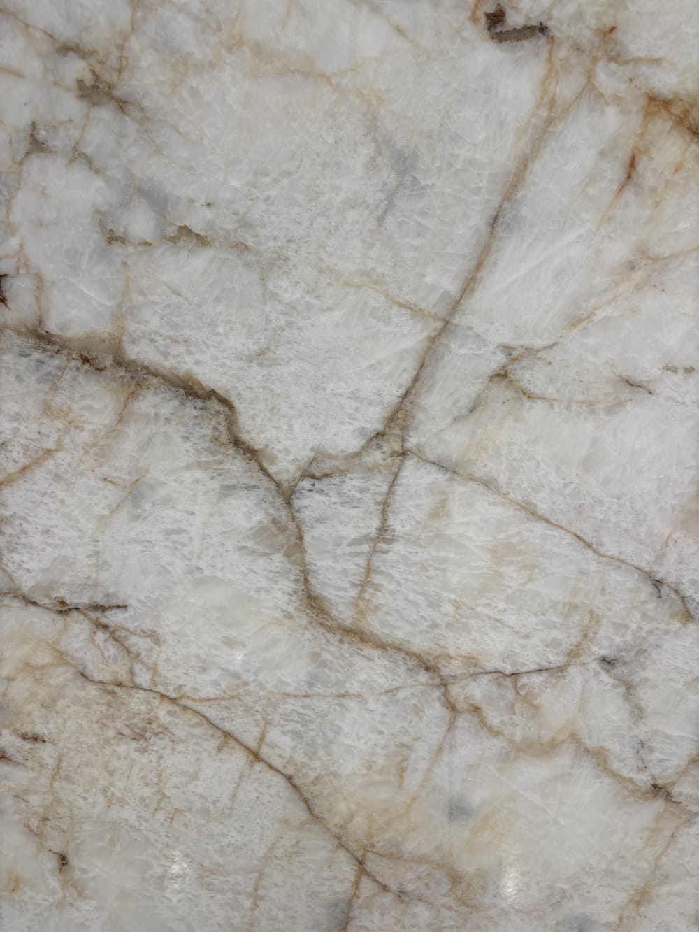Gold Cristallo quartzite detail, rust and gold veining threading through a polished white surface