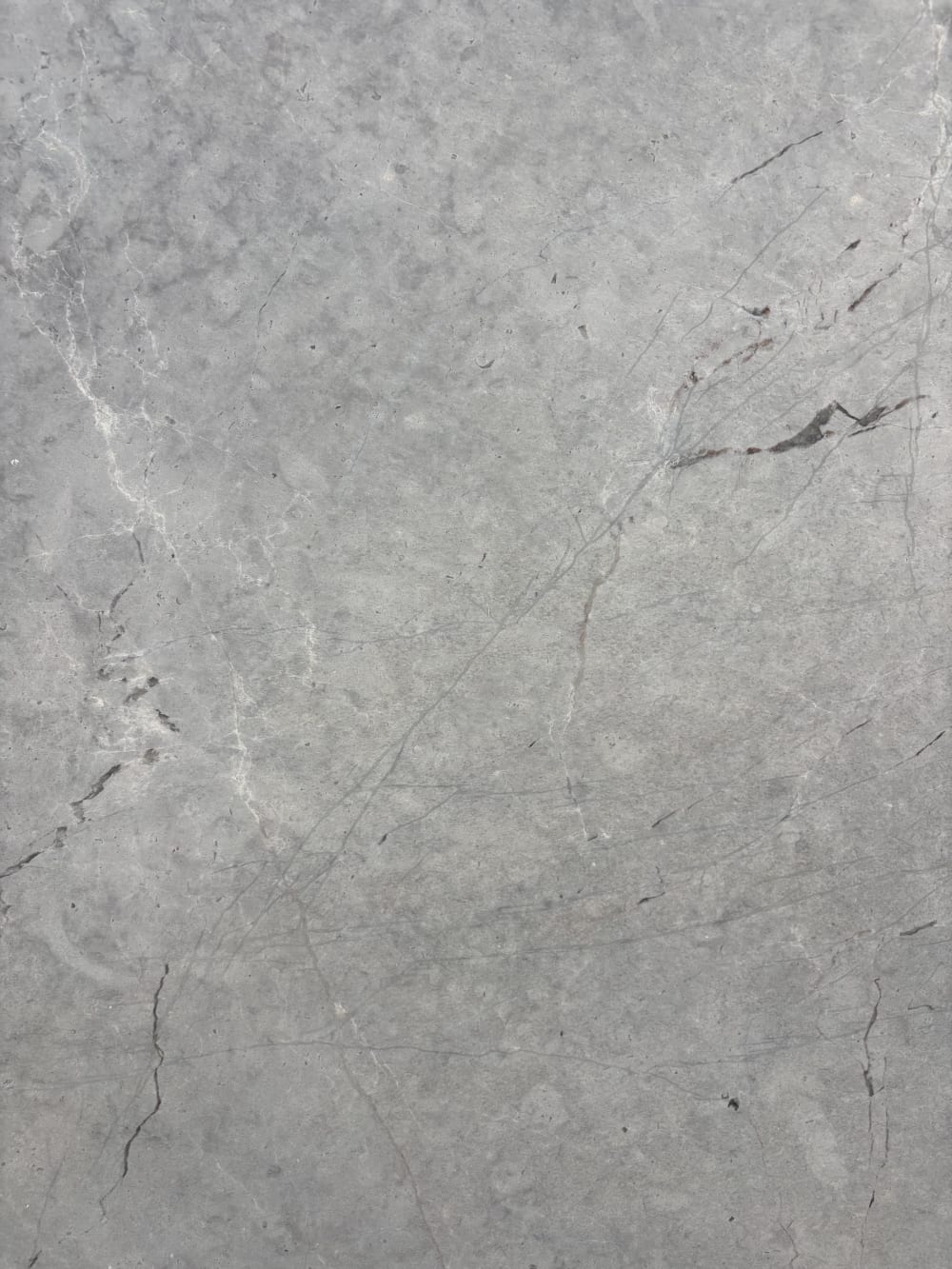Alba Grey marble detail, honed surface with thread-like veining crossing the slab