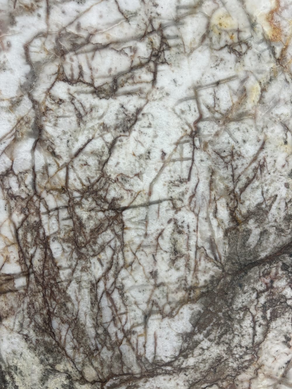 Ice Lake quartzite detail, burgundy and amber root-like veining threading a bright white ground