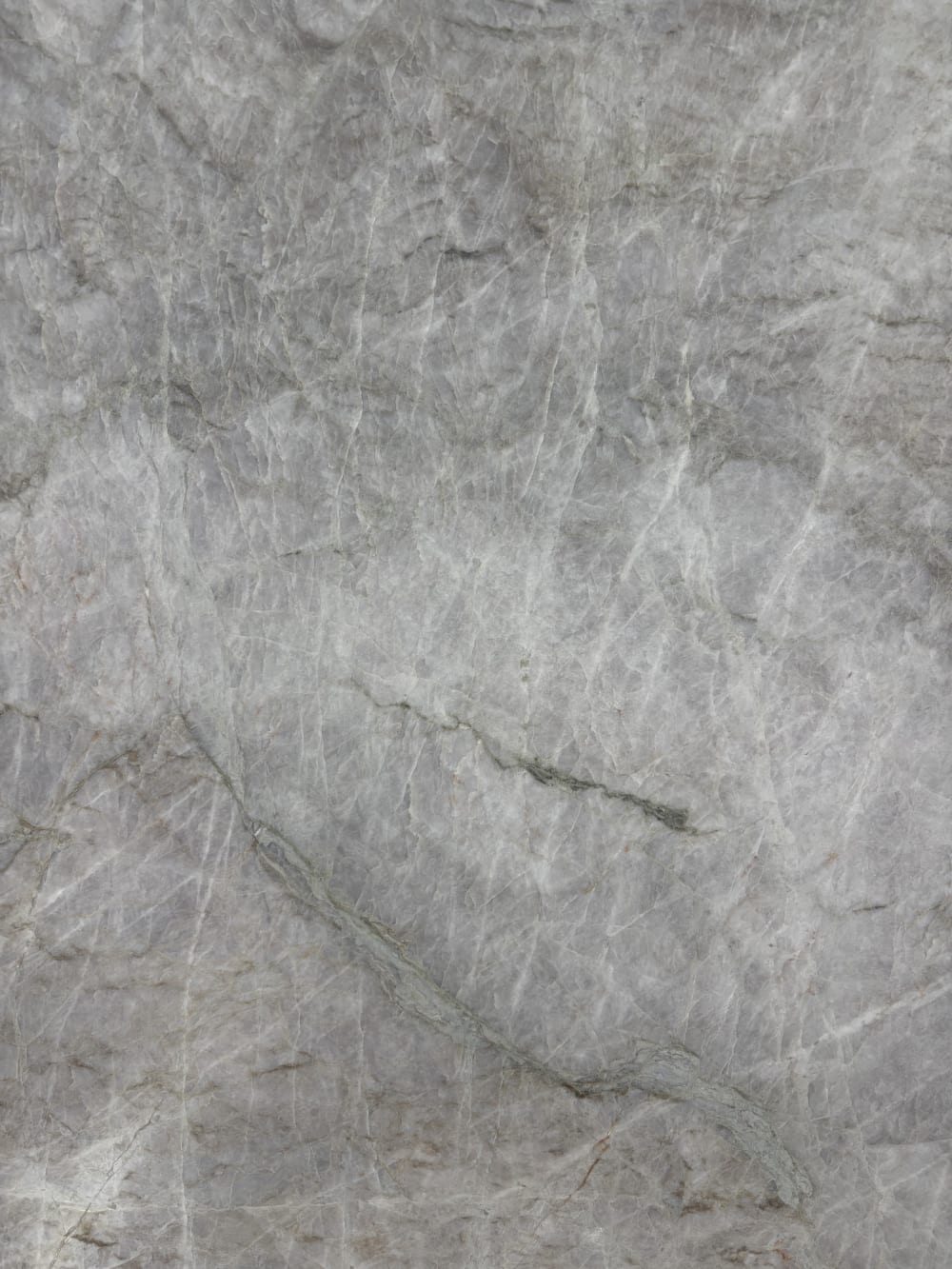 Taj Mahal quartzite block 25094 detail, soft grey movement crossed by a fine darker seam