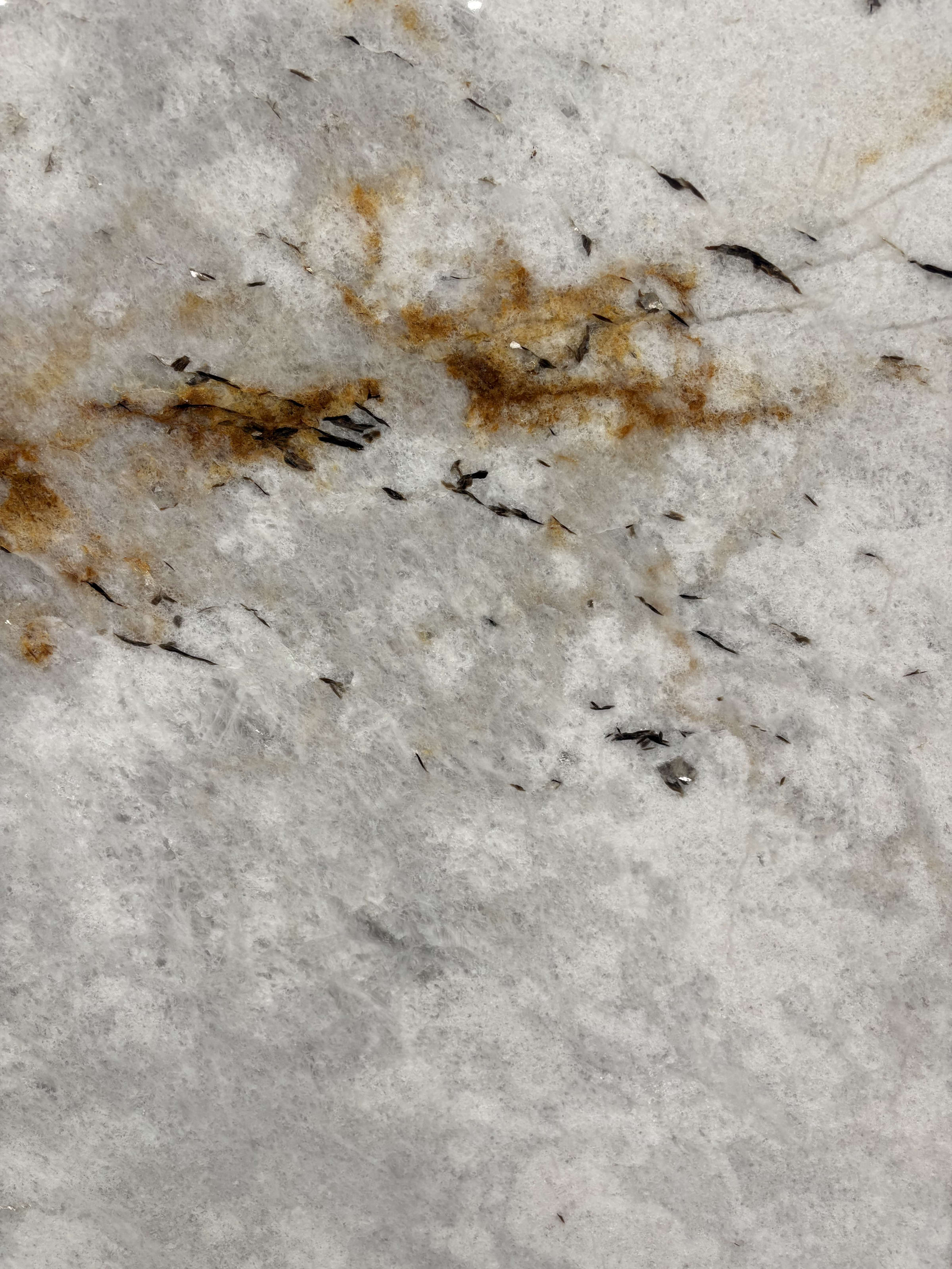 Ice Cristallo quartzite detail, rust-amber veining and black mineral slivers in icy white