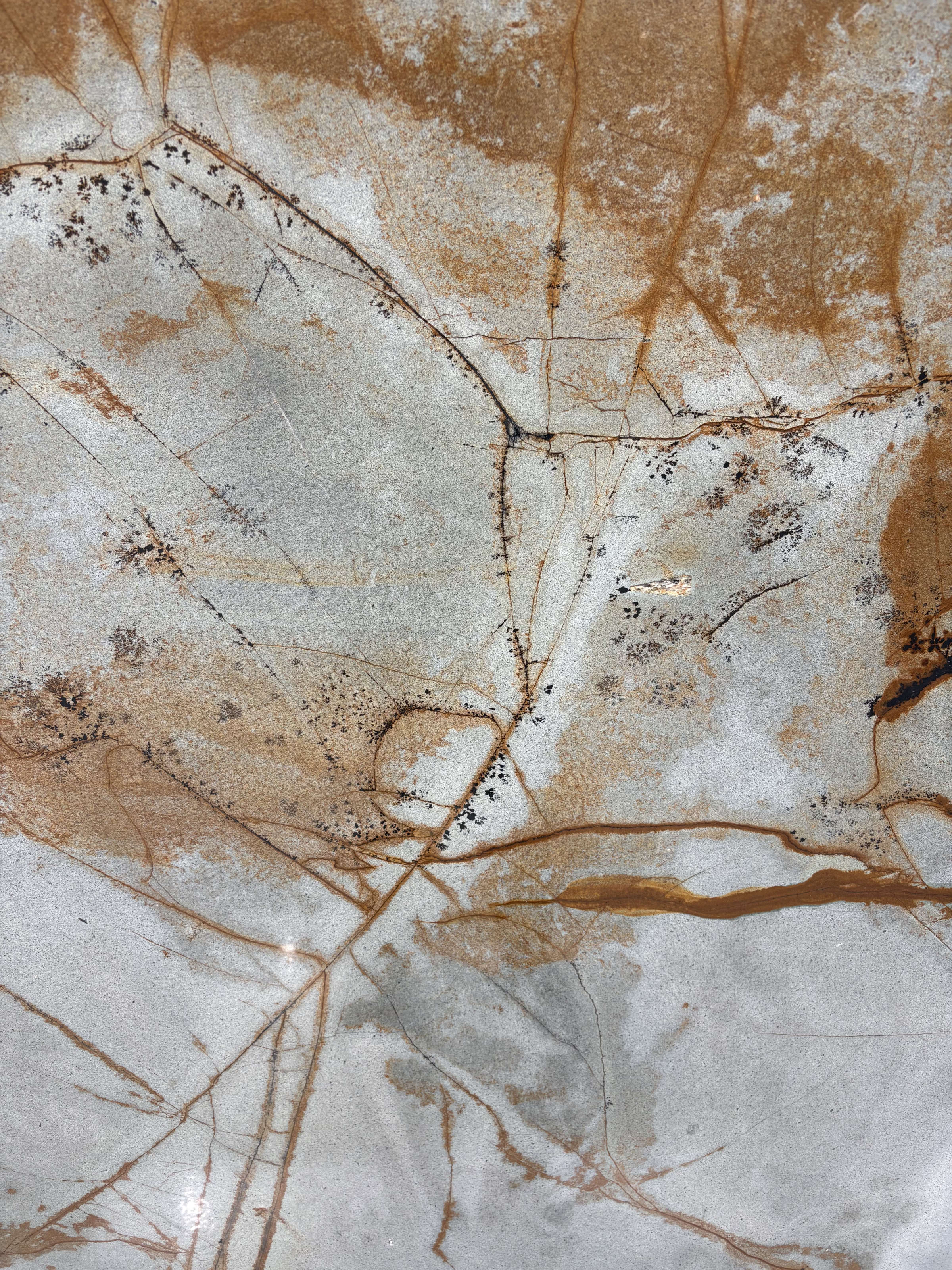 Deep Blue quartzite detail, rust veining and clustered black mineral over pale blue-grey