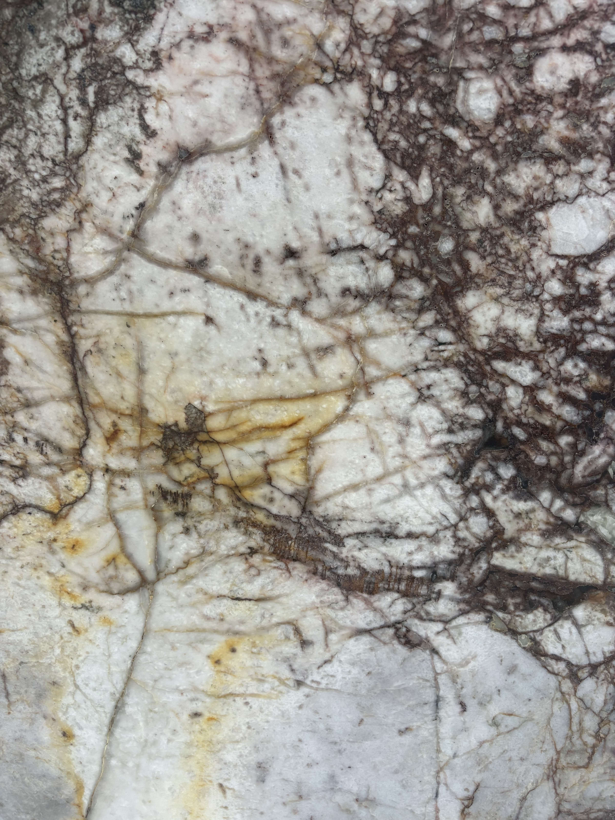 Ice Lake quartzite detail, dense dark dendritic veining branching across a pale icy ground
