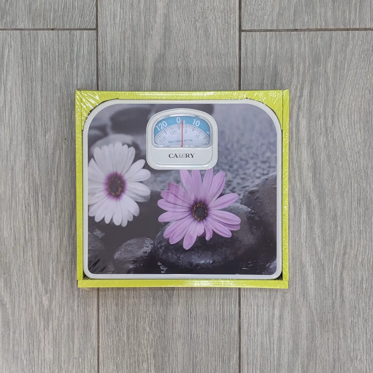 Camry BR2021 – Pèse-Personne Mécanique