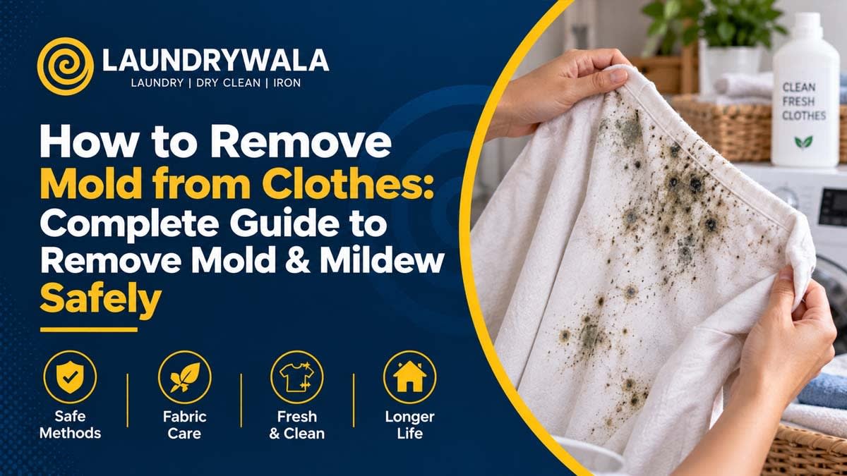 How to Remove Mold from Clothes: Complete Guide to Remove Mold & Mildew Safely