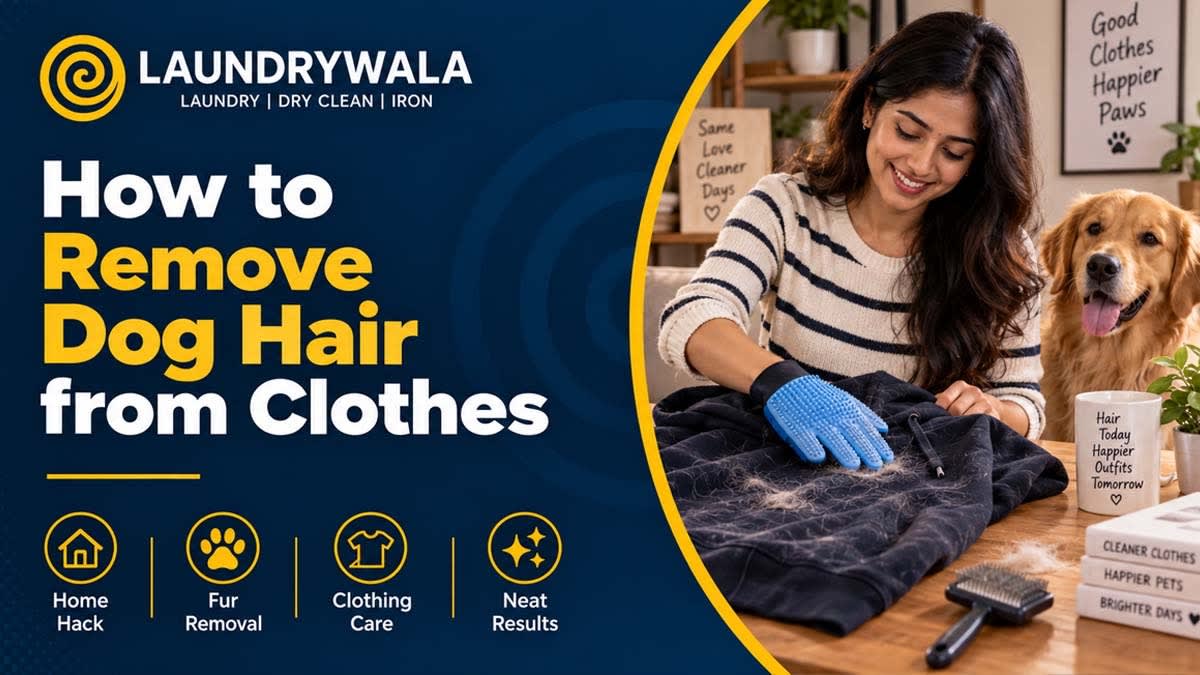 How to Remove Dog Hair from Clothes