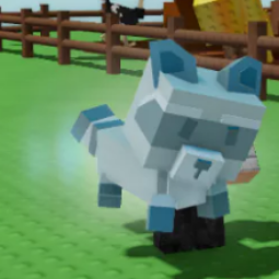 Shiny Raccoon G -1unit=1* Raccoonn PET (Racoon) Shiny Racc ;)raccooin, Shiny Rccoon , Raccoooonz Raccoonz