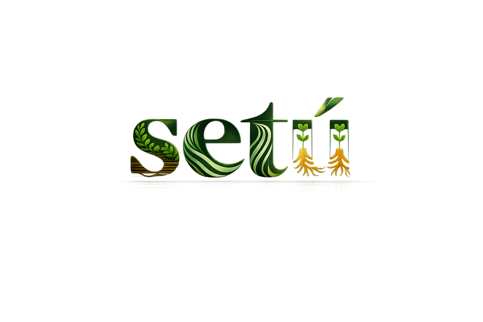 Setú em Carbono