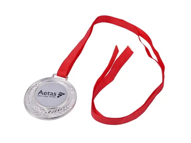 Pillage Medal 2