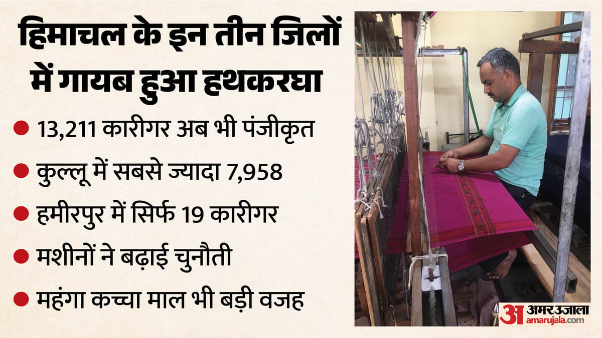 नेशनल हैंडलूम डे (National Handloom Day) पर चौंकाने वाली रिपोर्ट: हिमाचल के इन तीन जिलों में दम तोड़ रही है हथकरघा विरासत