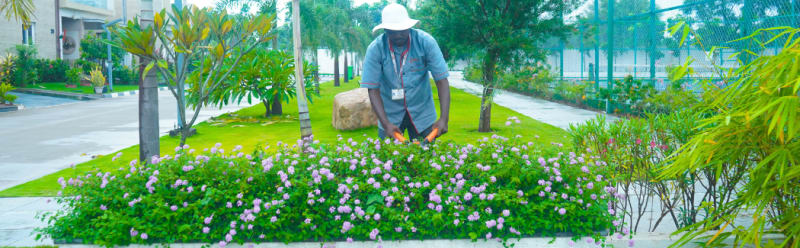 Garden Maintenance Service Provider in Hyderabad PropSquare LifeSpaces Management gmfll2