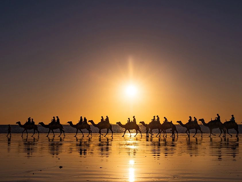 Camel ride Cable beach