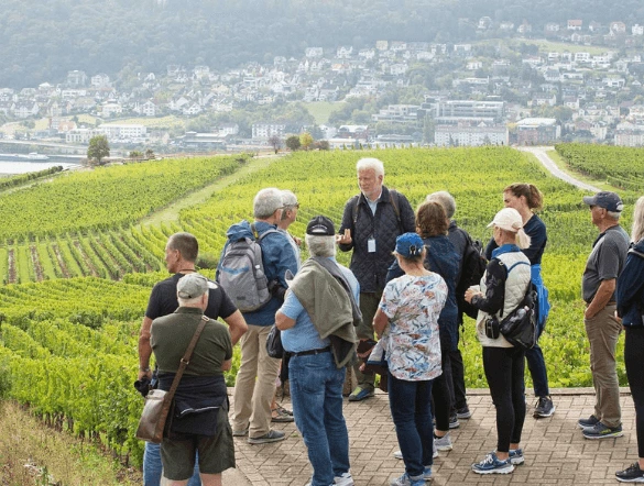 A group of guests being given a tour through the green vineyards of Niederwalddenkmal