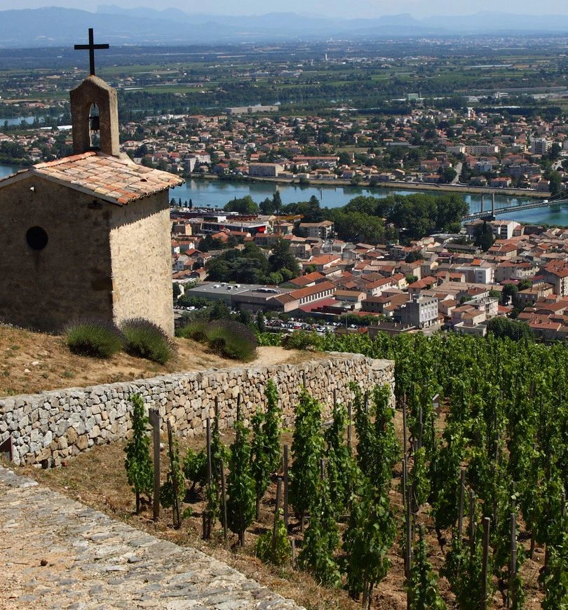 Tournon Vineyard Rhone Valley Provence, France