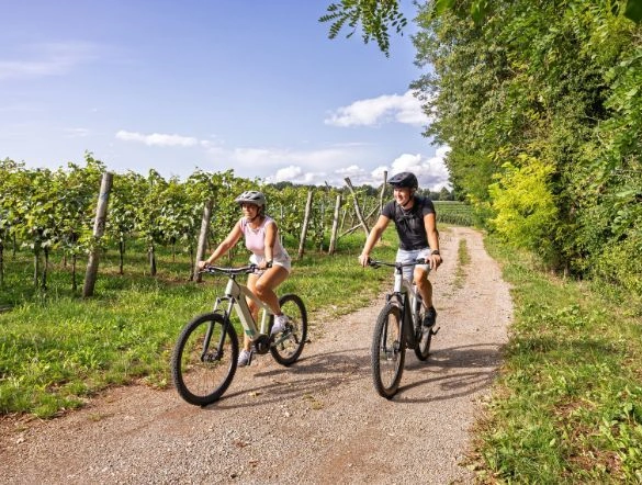 Couple bike riding through vineyards