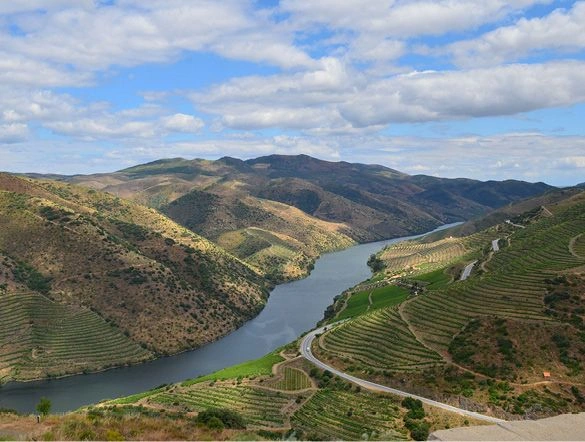 The green landscape of Portugal’s Côa Valley can be seen with the Douro River running through the middle.
