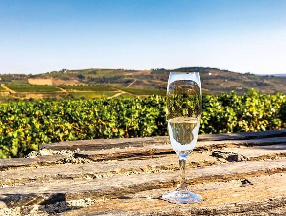 A glass of white wine sits on an outdoor table. Vineyards and rolling green hills are seen in the background.