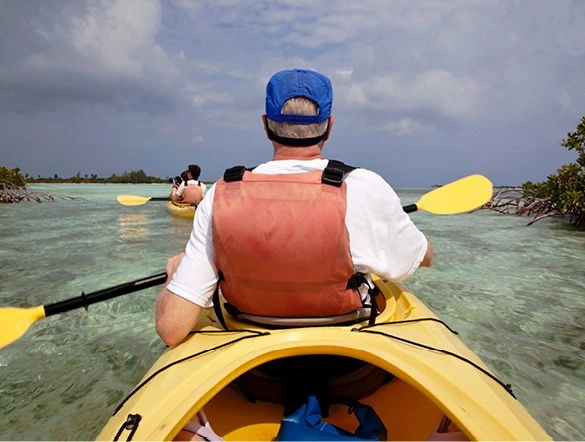 A group of people kayaking through the mangroves along the clear waters in the Caribbean
