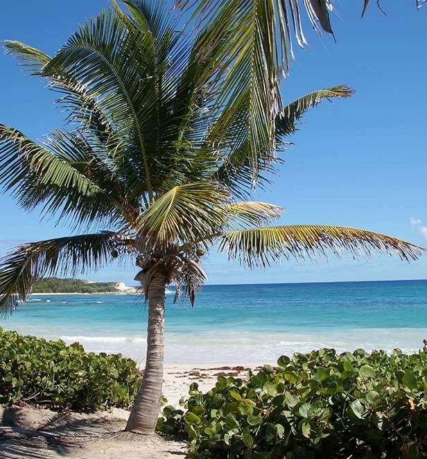 Half Moon Bay Antigua 2