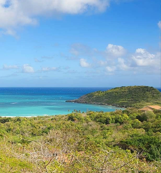 Half Moon Bay Antigua 3