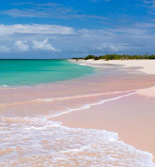 Pink Beach Barbuda 3