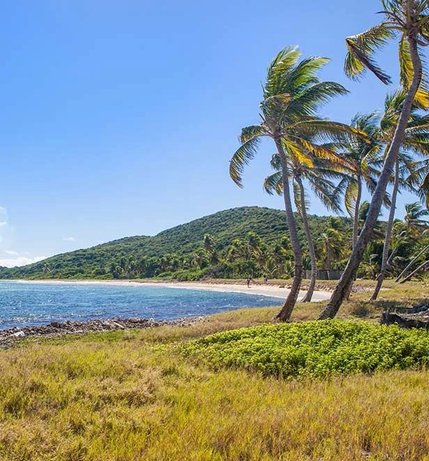 Salt Whistle Bay Mayreau 4