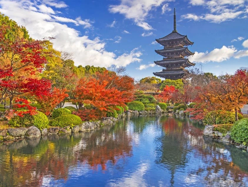 Emerald Tours Japan Maple Leafs Kyoto