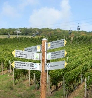 Deshiem Vineyard, Germany