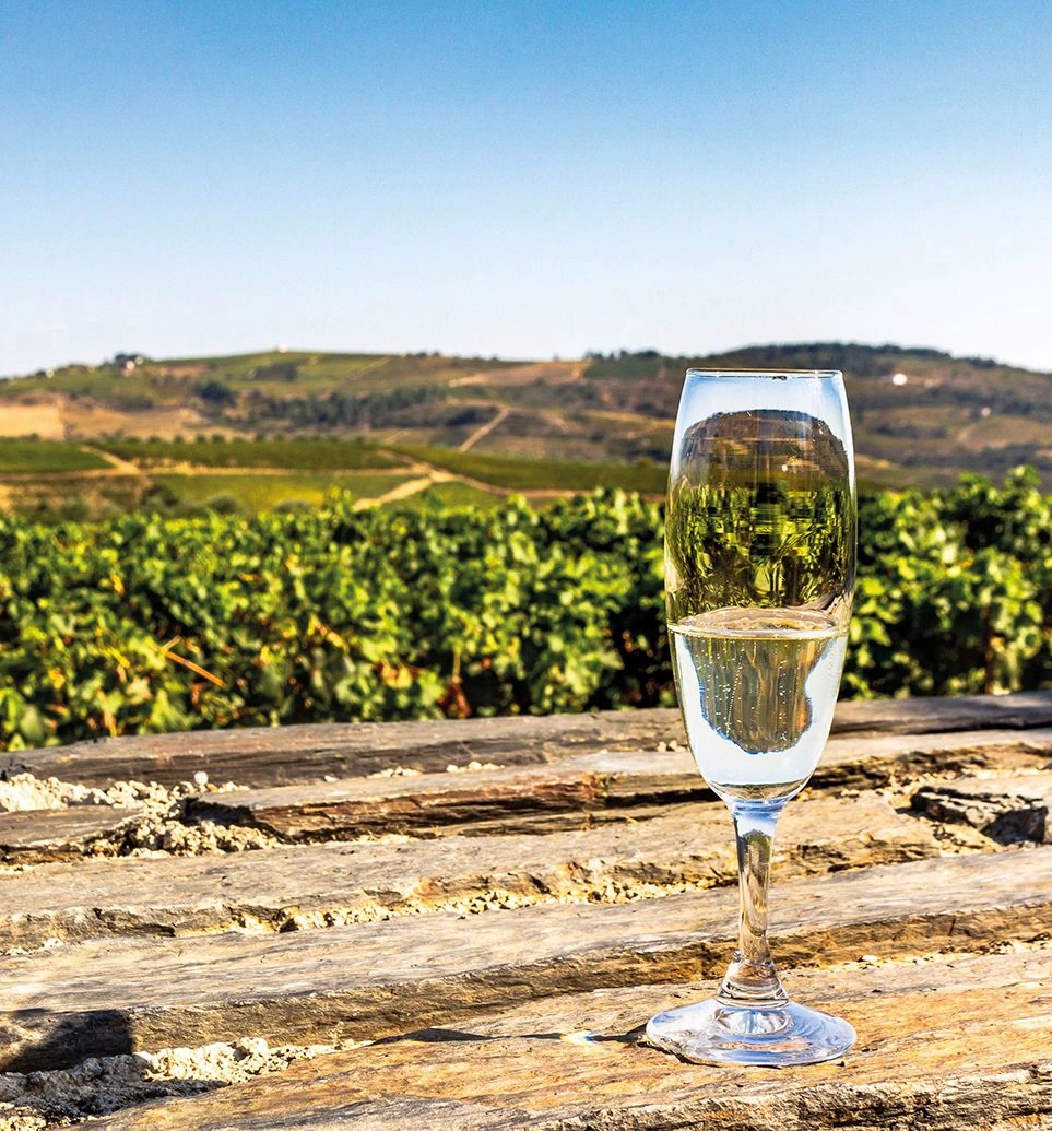 Sparkling wine glass overlooking Douro Valley vineyards