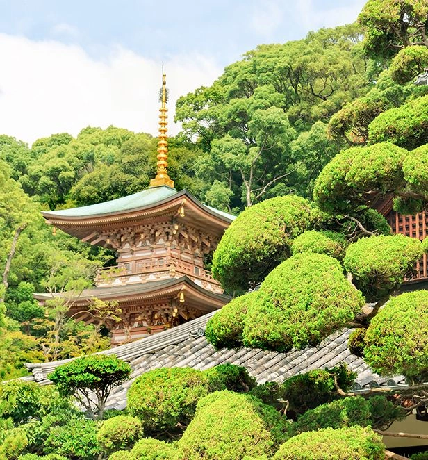 Traditional Japanese temple pagoda and tiled rooftops surrounded by lush green trees in Kobe, Japan.