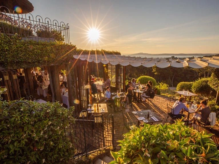 Auckland Harbour And Vineyard Lunch from Waiheke Island