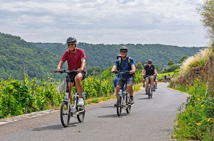 Guests riding e-bikes through vineyards in the Netherlands