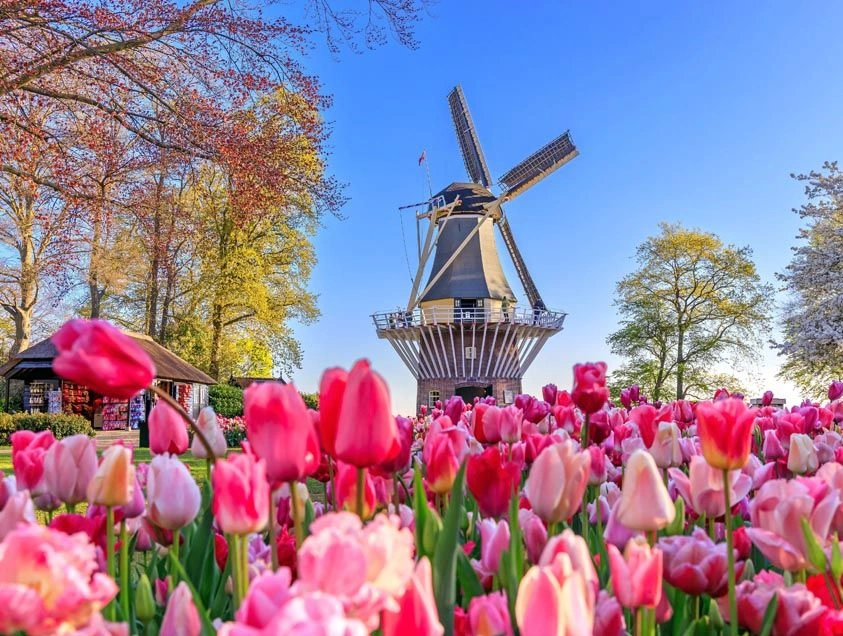Keukenhof Gardens, Netherlands
