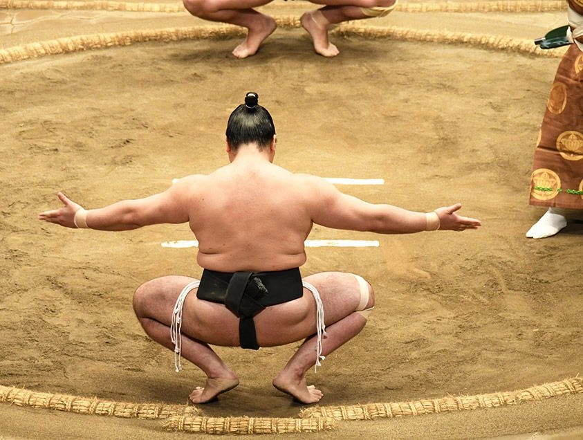 Sumo Demonstration, Japan