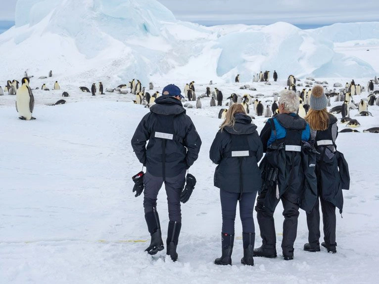 Snow-Hill-Island-Heli-Excursion-Emperor-Penguin