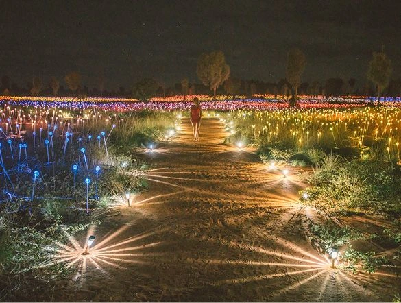 Field of Light Uluru