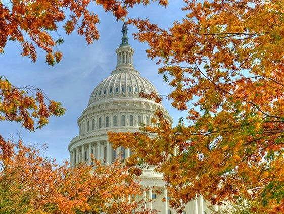 Washington DC Capitol