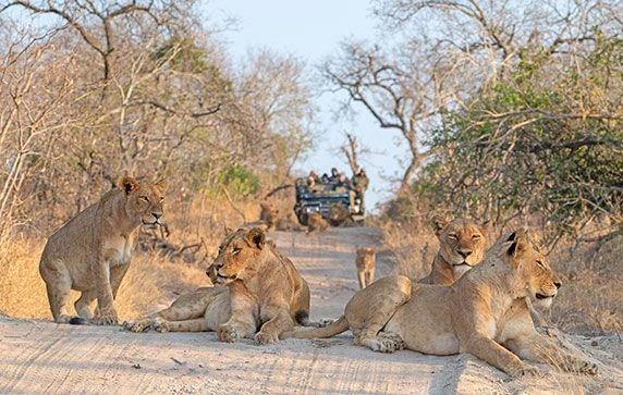 Kruger National Park