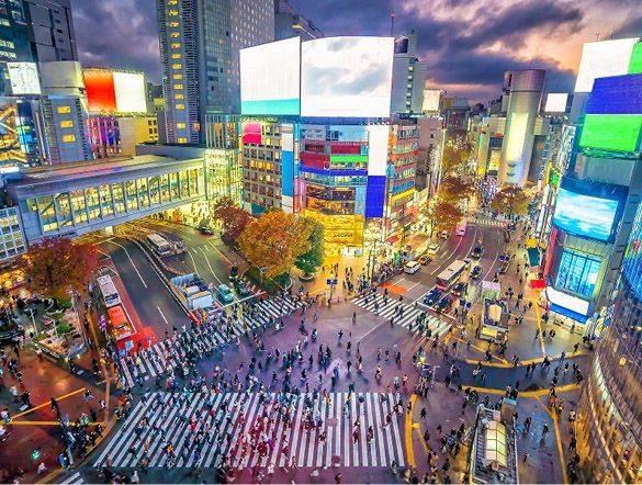 Shibuya Crossing