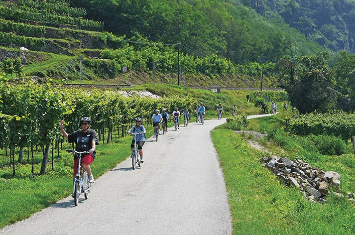 e-bike riding through the vineyards, Austria