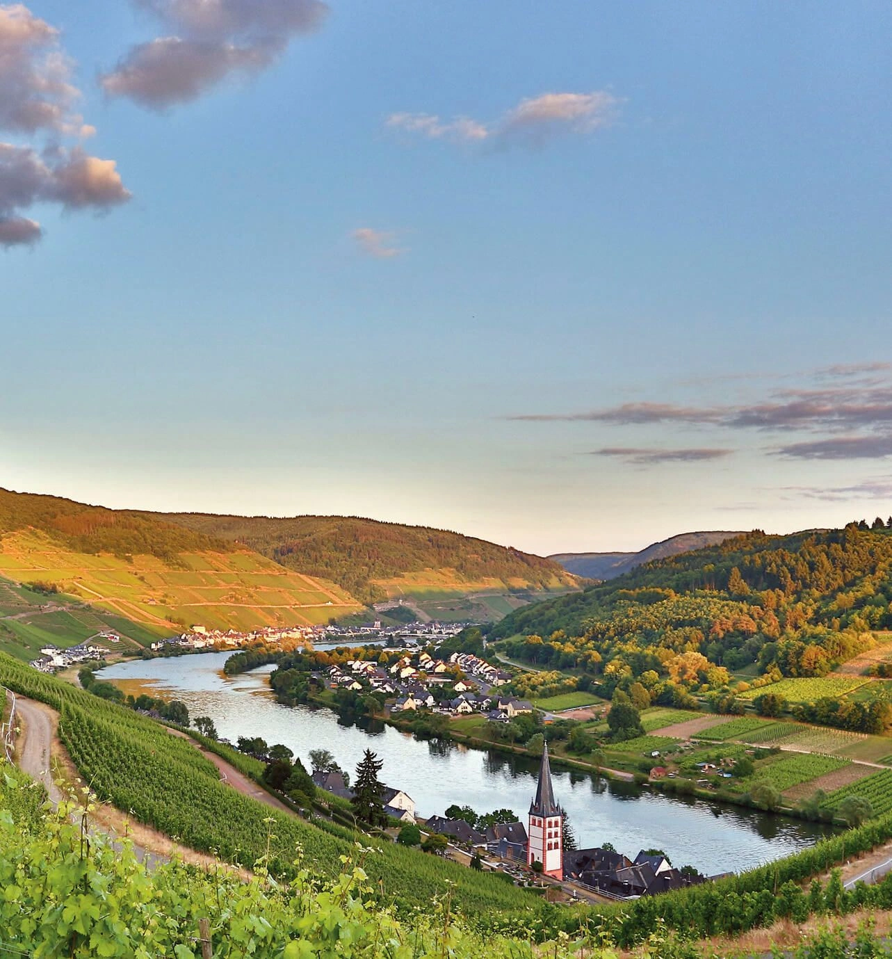 Moselle Valley