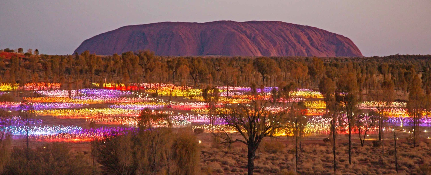 Field of Light Uluru Australia