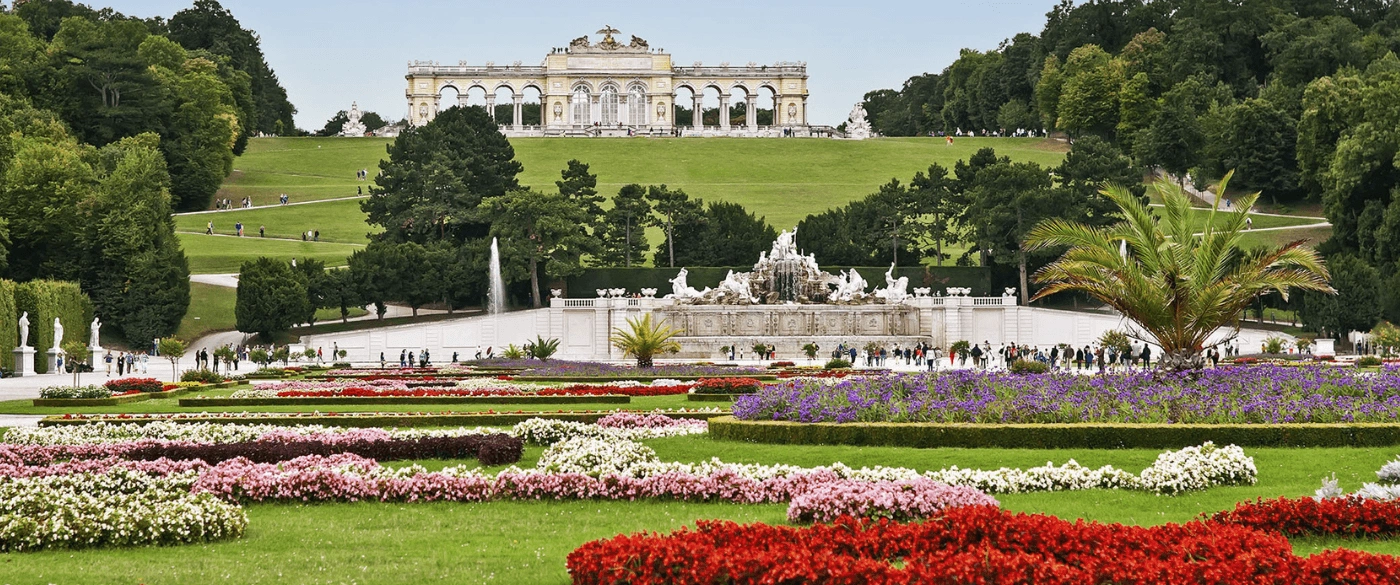 Disocver more banner