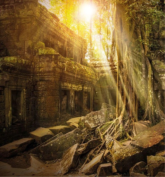 Ta Prohm Temple Cambodia