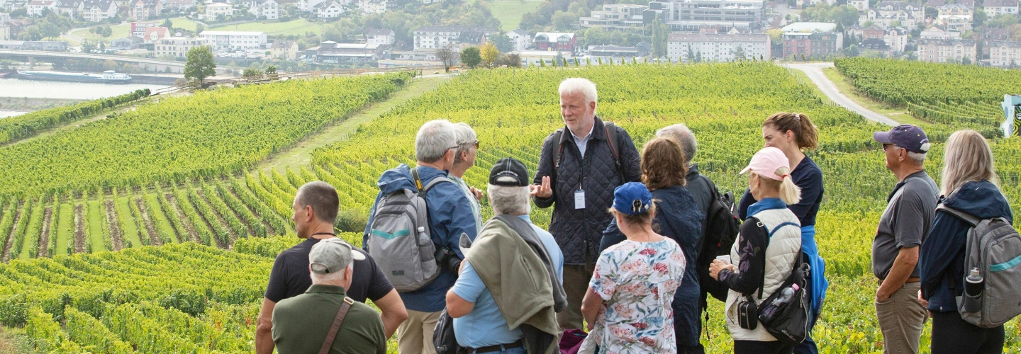 EmeraldACTIVE vineyard hike to Niederwalddenkmal